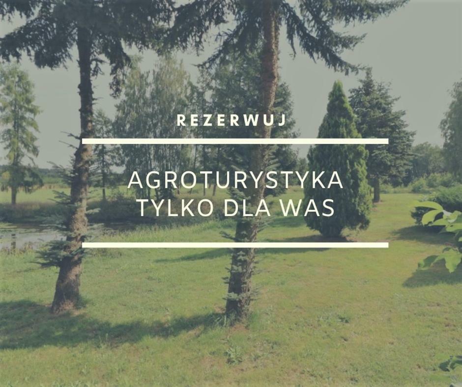 Dom Wakacyjny z ogromnym ogrodem Witaszyn Zewnętrze zdjęcie